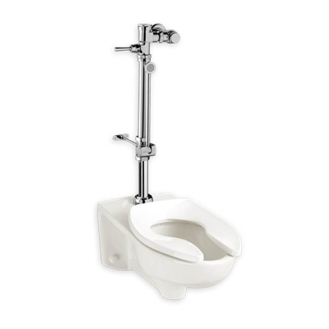 American Standard Ultima™ Manual Flush Valve With Bedpan Washer Assembly, Straight Tube, 1.28 gpf/4.8 Lpf