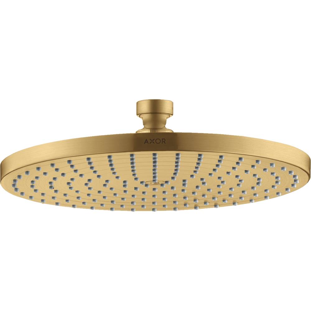 Axor Starck Showerhead 240 1-Jet, 2.5 GPM in Brushed Gold Optic