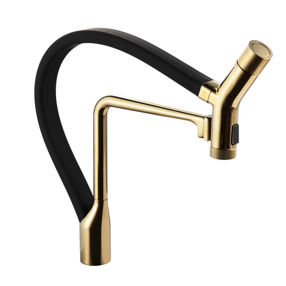 Hamat Dual Function Hand Held Pull Off Kitchen Faucet in Polished Brass with Black Hose